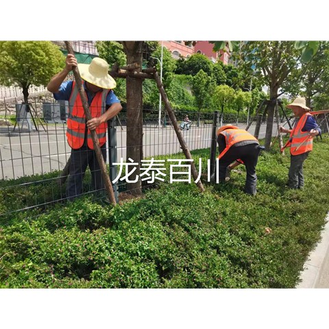 铁路护栏网施工时应注意的问题