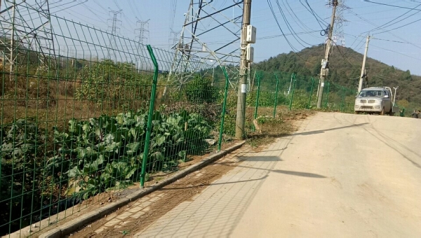 双边丝护栏网
