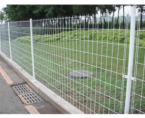 公路护栏网